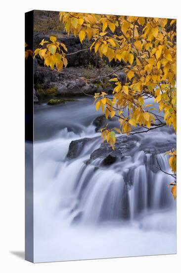 USA, Oregon. Rogue River Waterfalls in Autumn-Jean Carter-Stretched Canvas