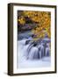 USA, Oregon. Rogue River Waterfalls in Autumn-Jean Carter-Framed Photographic Print