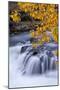 USA, Oregon. Rogue River Waterfalls in Autumn-Jean Carter-Mounted Photographic Print