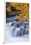 USA, Oregon. Rogue River Waterfalls in Autumn-Jean Carter-Framed Photographic Print