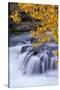 USA, Oregon. Rogue River Waterfalls in Autumn-Jean Carter-Stretched Canvas