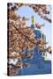 USA, Oregon, Salem, Capitol State Park, statue framed by Blossoms.-Rick A. Brown-Stretched Canvas