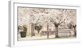 USA, Oregon, Salem, Snowing cherry blossoms.-Rick A. Brown-Framed Photographic Print
