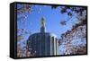 USA, Oregon, Salem, the Oregon State Capitol and Cherry Blossoms.-Rick A. Brown-Framed Stretched Canvas