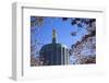 USA, Oregon, Salem, the Oregon State Capitol and Cherry Blossoms.-Rick A. Brown-Framed Photographic Print