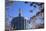 USA, Oregon, Salem, the Oregon State Capitol and Cherry Blossoms.-Rick A. Brown-Mounted Photographic Print