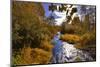 USA, Oregon. Scenic of Dieckman Creek-Steve Terrill-Mounted Photographic Print