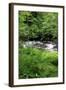 USA, Oregon. Scenic of Little Sandy River and Ferns-Steve Terrill-Framed Photographic Print