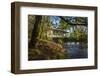 USA, Oregon, Scio, Larwood Wayside, Larwood Bridge.-Rick A. Brown-Framed Photographic Print