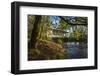 USA, Oregon, Scio, Larwood Wayside, Larwood Bridge.-Rick A. Brown-Framed Photographic Print