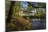 USA, Oregon, Scio, Larwood Wayside, Larwood Bridge.-Rick A. Brown-Mounted Photographic Print