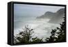 USA, Oregon. Seal Cove in fog on Pacific Coast Scenic Byway between Florence and Newport.-Alison Jones-Framed Stretched Canvas