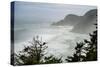 USA, Oregon. Seal Cove in fog on Pacific Coast Scenic Byway between Florence and Newport.-Alison Jones-Stretched Canvas