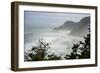 USA, Oregon. Seal Cove in fog on Pacific Coast Scenic Byway between Florence and Newport.-Alison Jones-Framed Photographic Print