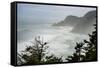 USA, Oregon. Seal Cove in fog on Pacific Coast Scenic Byway between Florence and Newport.-Alison Jones-Framed Stretched Canvas