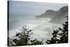 USA, Oregon. Seal Cove in fog on Pacific Coast Scenic Byway between Florence and Newport.-Alison Jones-Stretched Canvas