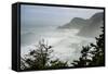 USA, Oregon. Seal Cove in fog on Pacific Coast Scenic Byway between Florence and Newport.-Alison Jones-Framed Stretched Canvas