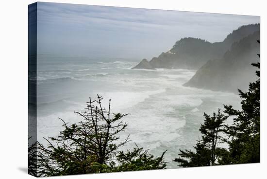 USA, Oregon. Seal Cove in fog on Pacific Coast Scenic Byway between Florence and Newport.-Alison Jones-Stretched Canvas