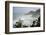 USA, Oregon. Seal Cove in fog on Pacific Coast Scenic Byway between Florence and Newport.-Alison Jones-Framed Photographic Print