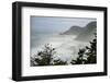 USA, Oregon. Seal Cove in fog on Pacific Coast Scenic Byway between Florence and Newport.-Alison Jones-Framed Photographic Print