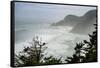USA, Oregon. Seal Cove in fog on Pacific Coast Scenic Byway between Florence and Newport.-Alison Jones-Framed Stretched Canvas