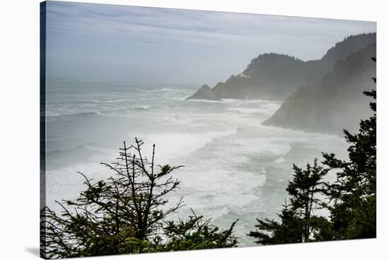 USA, Oregon. Seal Cove in fog on Pacific Coast Scenic Byway between Florence and Newport.-Alison Jones-Stretched Canvas