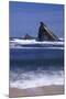 USA, Oregon, Shore Acres State Park. Incoming surf and tilted, sandstone sea stack.-John Barger-Mounted Photographic Print