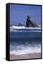 USA, Oregon, Shore Acres State Park. Incoming surf and tilted, sandstone sea stack.-John Barger-Framed Stretched Canvas