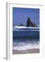 USA, Oregon, Shore Acres State Park. Incoming surf and tilted, sandstone sea stack.-John Barger-Framed Photographic Print