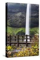 USA, Oregon, Silver Falls State Park, Falls-Hollice Looney-Stretched Canvas