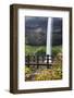 USA, Oregon, Silver Falls State Park, Falls-Hollice Looney-Framed Photographic Print