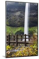 USA, Oregon, Silver Falls State Park, Falls-Hollice Looney-Mounted Photographic Print