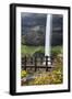 USA, Oregon, Silver Falls State Park, Falls-Hollice Looney-Framed Photographic Print