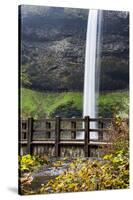 USA, Oregon, Silver Falls State Park, Falls-Hollice Looney-Stretched Canvas