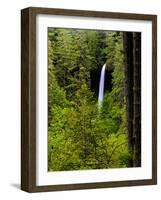 USA, Oregon, Silver Falls State Park, North Falls-Joe Restuccia III-Framed Photographic Print