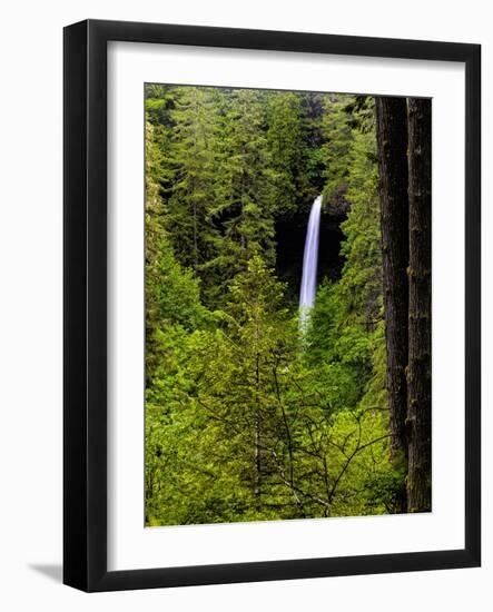 USA, Oregon, Silver Falls State Park, North Falls-Joe Restuccia III-Framed Photographic Print