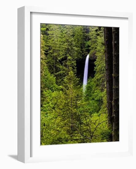 USA, Oregon, Silver Falls State Park, North Falls-Joe Restuccia III-Framed Photographic Print