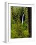 USA, Oregon, Silver Falls State Park, North Falls-Joe Restuccia III-Framed Photographic Print