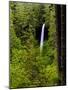 USA, Oregon, Silver Falls State Park, North Falls-Joe Restuccia III-Mounted Photographic Print