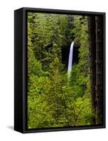 USA, Oregon, Silver Falls State Park, North Falls-Joe Restuccia III-Framed Stretched Canvas