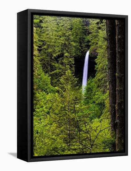 USA, Oregon, Silver Falls State Park, North Falls-Joe Restuccia III-Framed Stretched Canvas