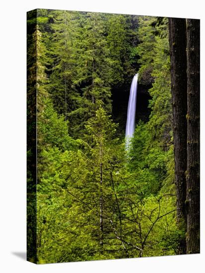 USA, Oregon, Silver Falls State Park, North Falls-Joe Restuccia III-Stretched Canvas