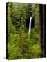 USA, Oregon, Silver Falls State Park, North Falls-Joe Restuccia III-Stretched Canvas