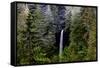 USA, Oregon, Silver Falls State Park, North Falls-Joe Restuccia III-Framed Stretched Canvas