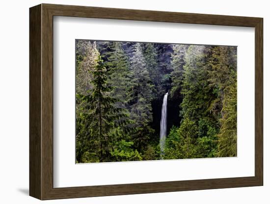 USA, Oregon, Silver Falls State Park, North Falls-Joe Restuccia III-Framed Photographic Print