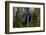 USA, Oregon, Silver Falls State Park, North Falls-Joe Restuccia III-Framed Photographic Print