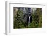 USA, Oregon, Silver Falls State Park, North Falls-Joe Restuccia III-Framed Photographic Print