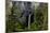 USA, Oregon, Silver Falls State Park, North Falls-Joe Restuccia III-Mounted Photographic Print