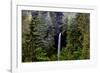 USA, Oregon, Silver Falls State Park, North Falls-Joe Restuccia III-Framed Photographic Print