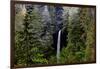 USA, Oregon, Silver Falls State Park, North Falls-Joe Restuccia III-Framed Photographic Print